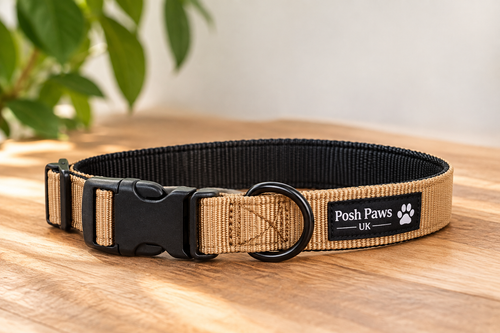 Classic tan and black dog collar product photo showing buckle, D-ring and woven collar