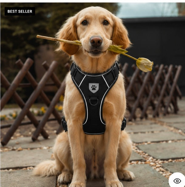 Black soft mesh everyday dog harness on a golden retriever